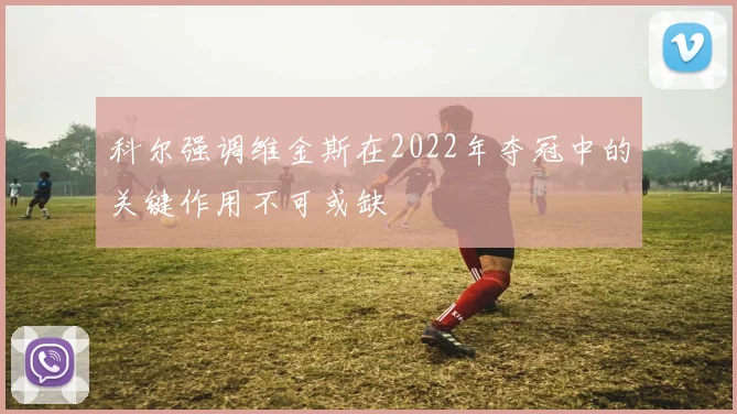 科尔强调维金斯在2022年夺冠中的关键作用不可或缺