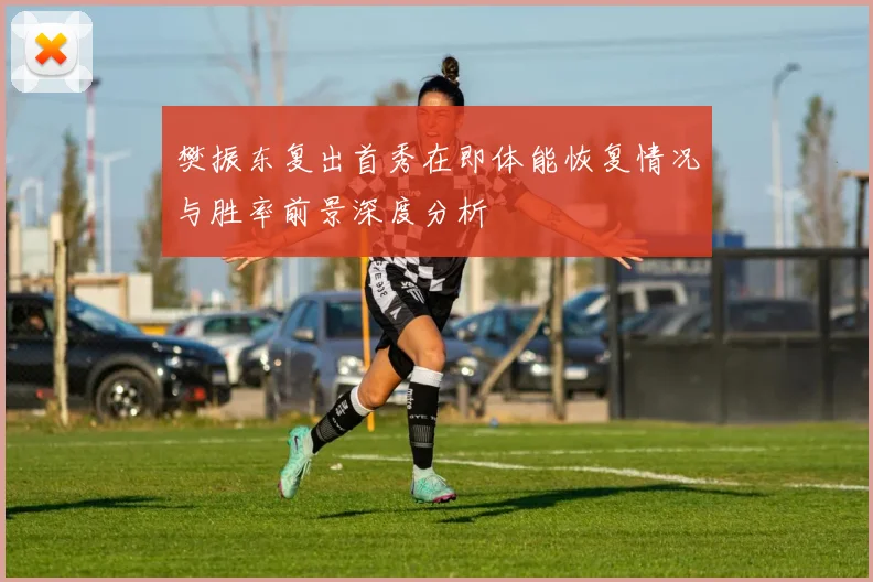 樊振东复出首秀在即体能恢复情况与胜率前景深度分析