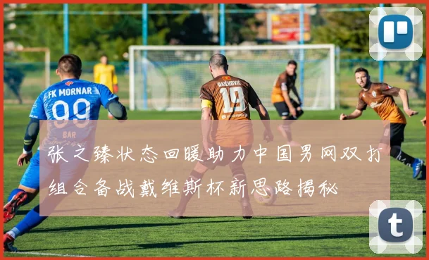 张之臻状态回暖助力中国男网双打组合备战戴维斯杯新思路揭秘